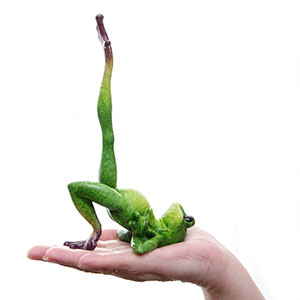 Beckenbodengymnastik